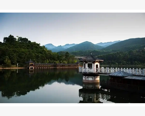 嘉兴注册会计师行业现状与职业发展路径分析